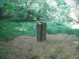 Log-pyramid nel Bosco Borromeo di Origgio