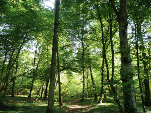 Rispetta la Natura