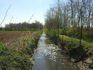Rispetta la Natura
